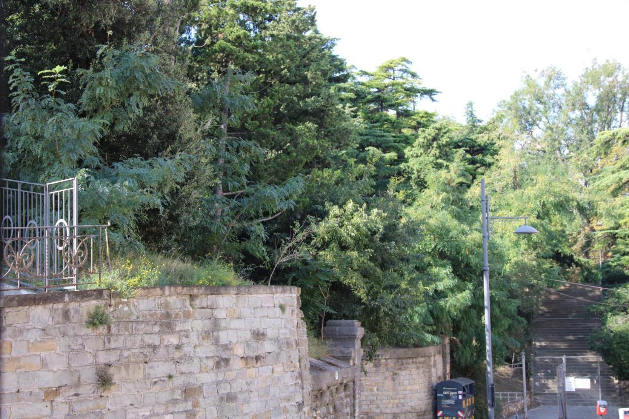 Casa Alba Chiara Daire Trieste Dış mekan fotoğraf